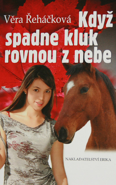 Když spadne kluk rovnou z nebe